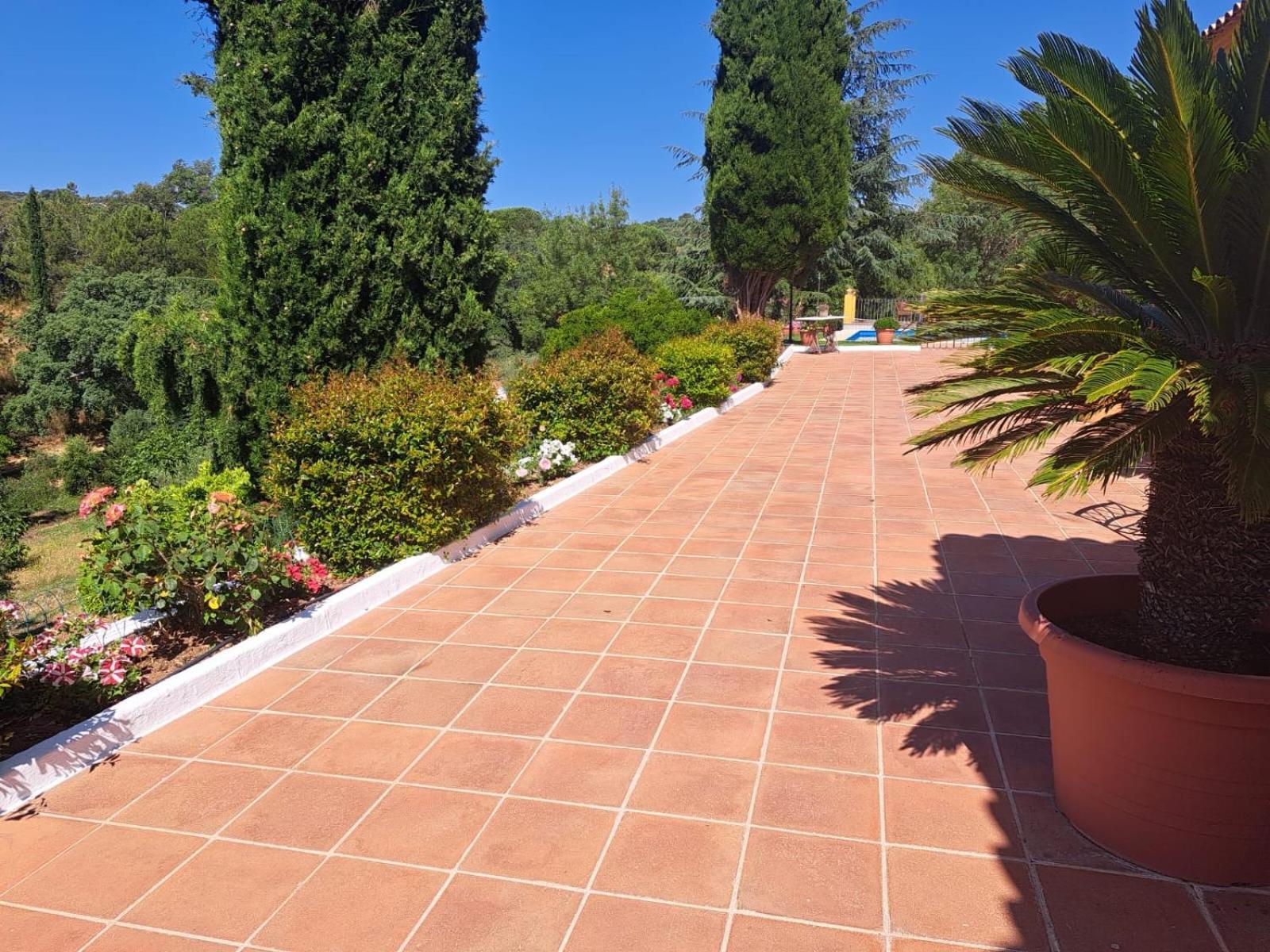 Casa Rural Villa Manuela Cazalla de la Sierra Εξωτερικό φωτογραφία